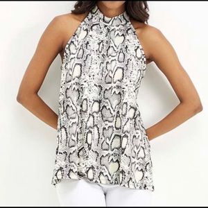 Adorable Snake Print by Milan Kiss